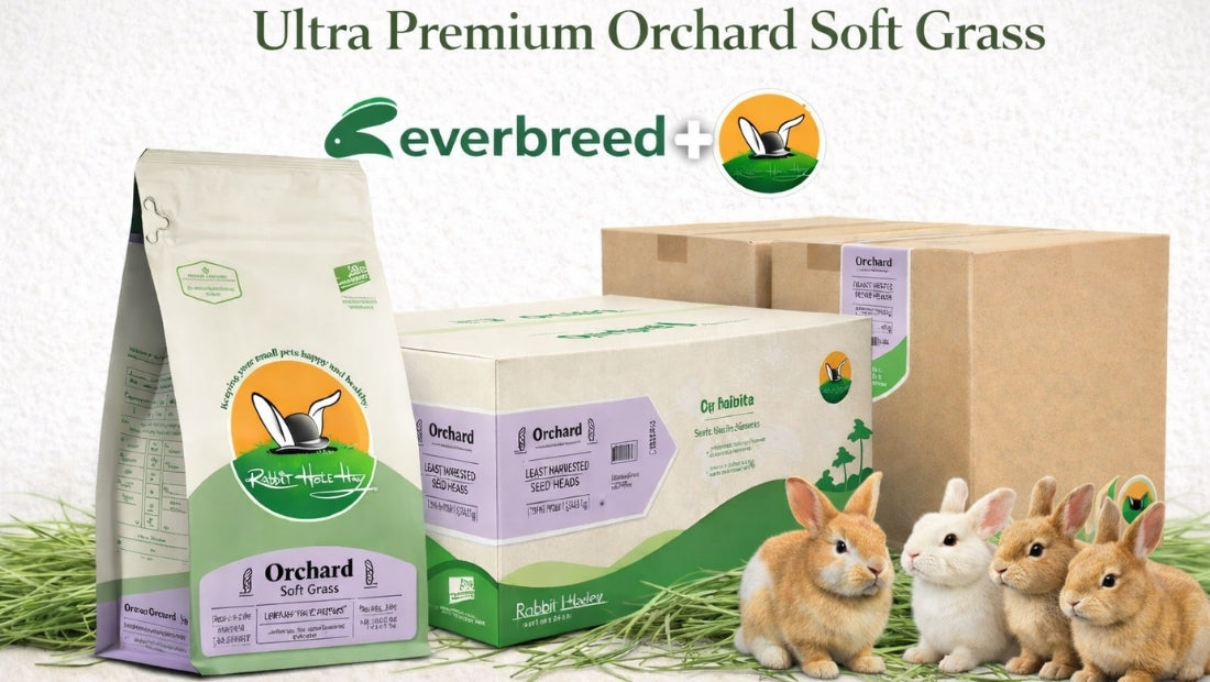 Ultra premium soft orchard grass packaging with rabbits, showcasing fresh hay for daily rabbit feeding