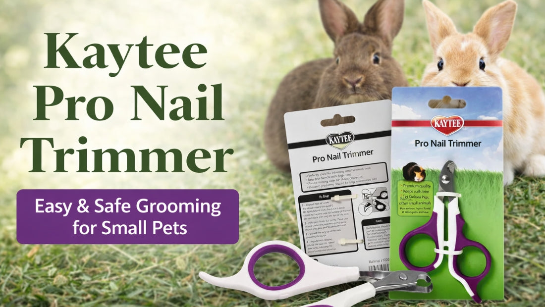 Kaytee Pro Nail Trimmer