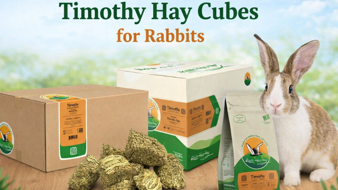 Timothy Hay Cubes for Rabbits