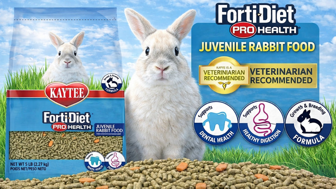 image of forti diet juvenile rabbit food