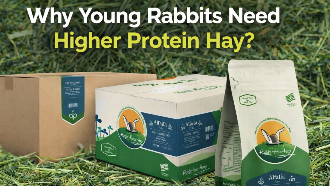 Rabbit Hole Hay Ultra Premium Alfalfa Hay High Protein Hay 