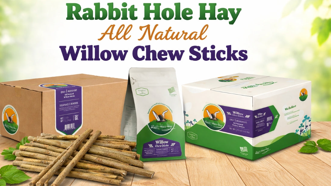 All Natural Willow Chew Sticks