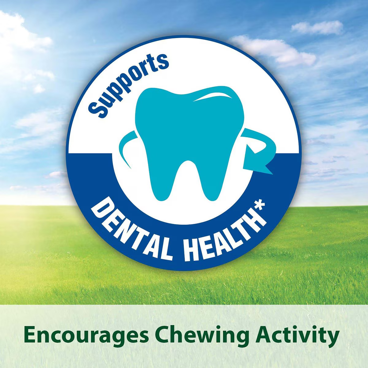 Timothy Complete Rabbit Food