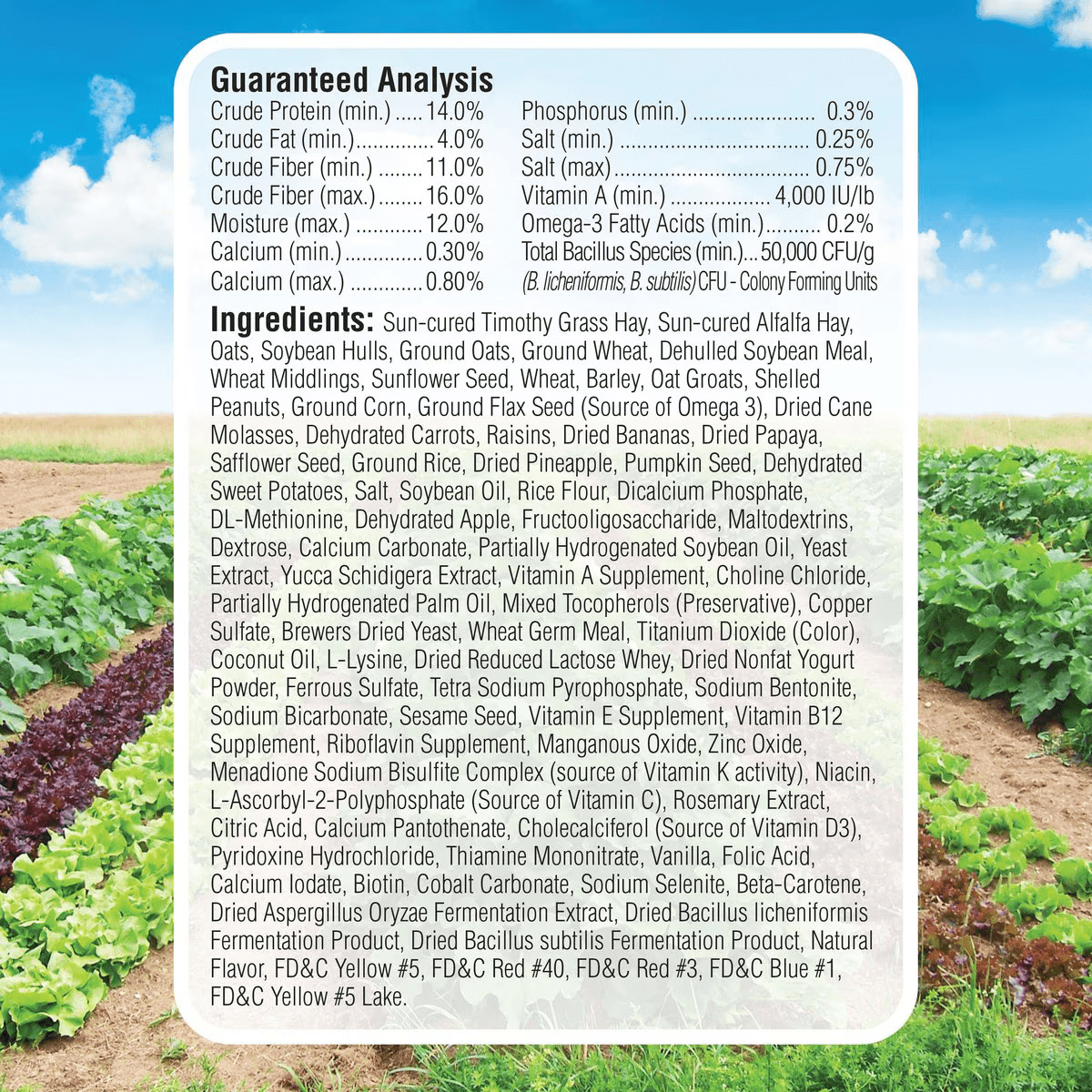 Kaytee Fiesta Rabbit Food